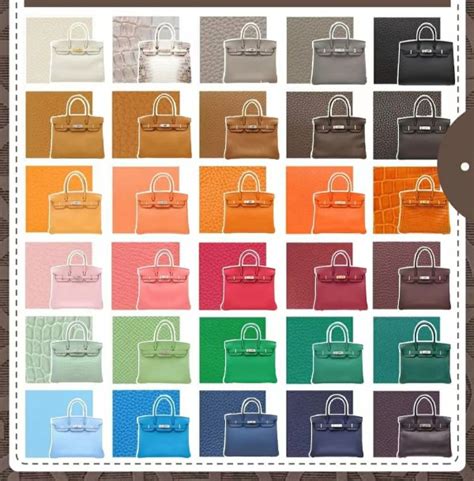 hermes kelly neutral colors|hermes birkin color chart.